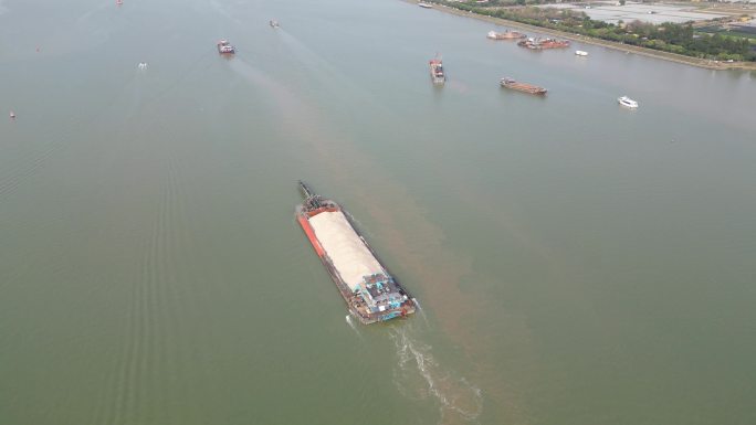 两组海鸥岛大桥船只