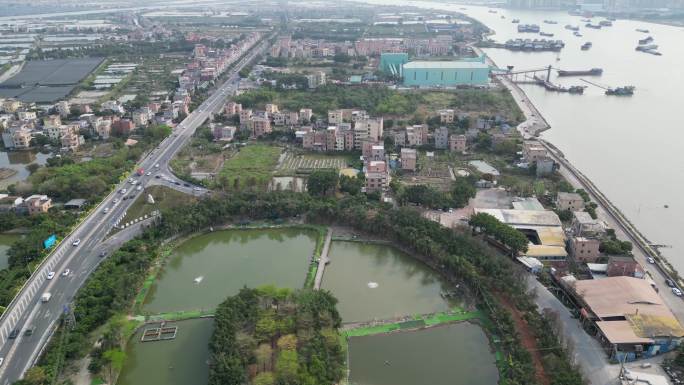 四组海鸥岛桥梁船只环境