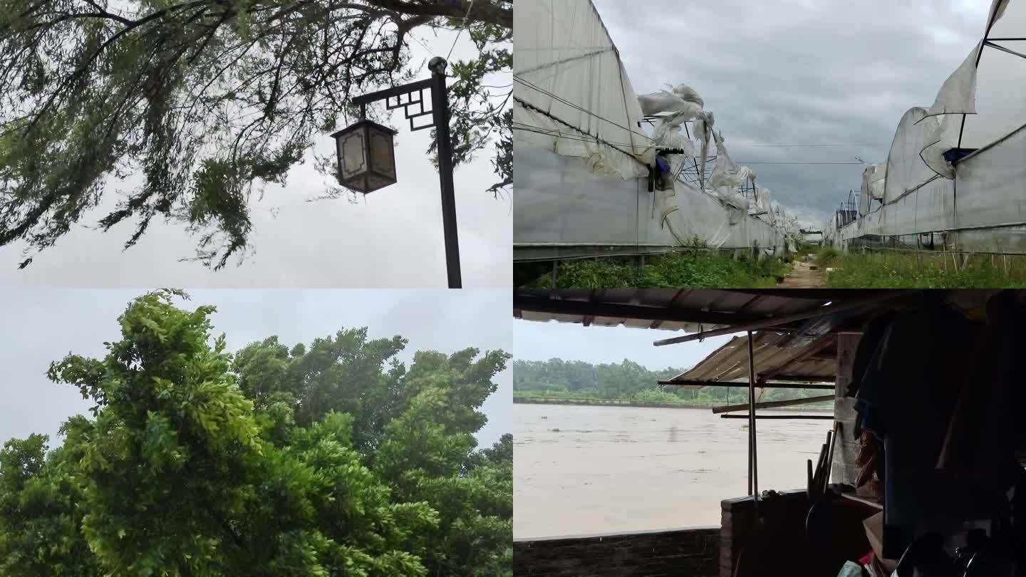 自然灾害雨风季来临台风狂风吹过狂风推毁