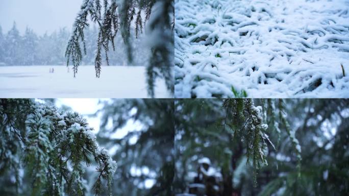 下雪升格雪花慢镜头c