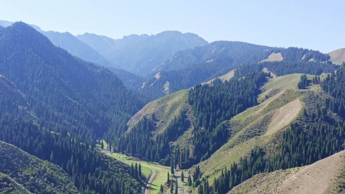 高清4k航拍 新疆山区 森林 无人区