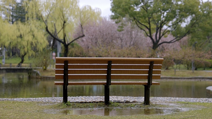 雨