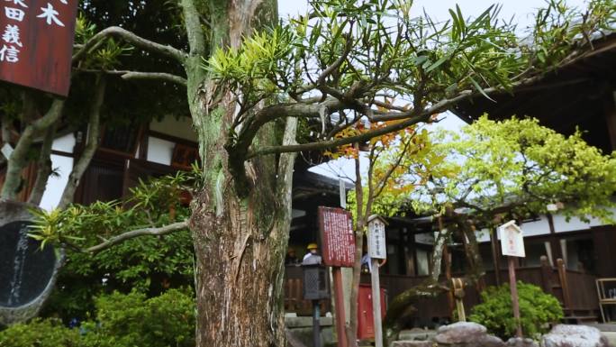 名胜古迹 古代建筑 美食