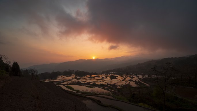 云南箐口梯田 日出 走云