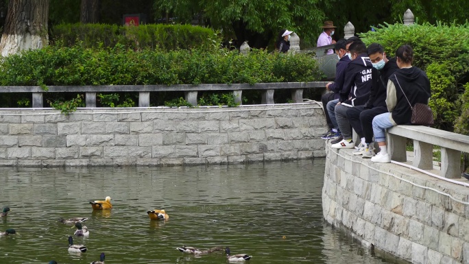 原生态 湖水 水面 生态恒湖农场