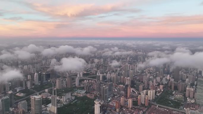 城市建筑群 车流 高架 鸟瞰