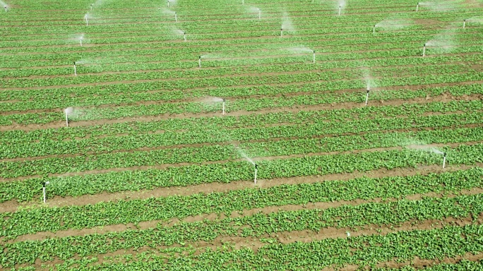 智慧农业喷淋灌溉