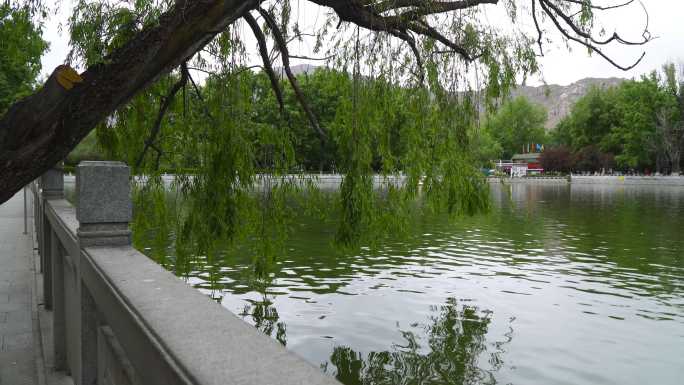 生态湖农自然保护区 湿地公园