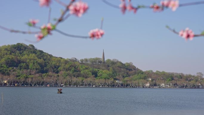 桃花游船宝俶塔  阳光花朵 春天美景