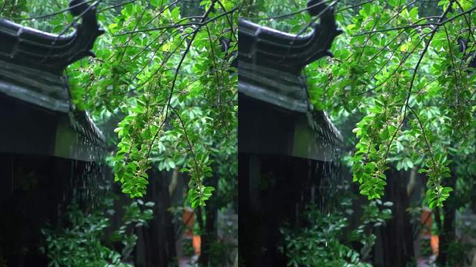 古建筑屋檐下的雨声