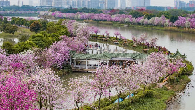 广州海珠国家湿地公园