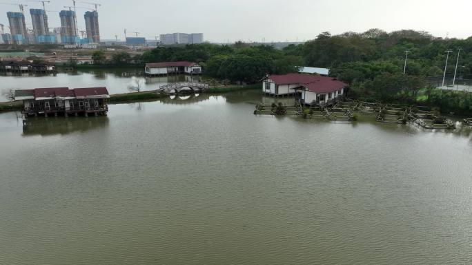 深圳海上田园航拍