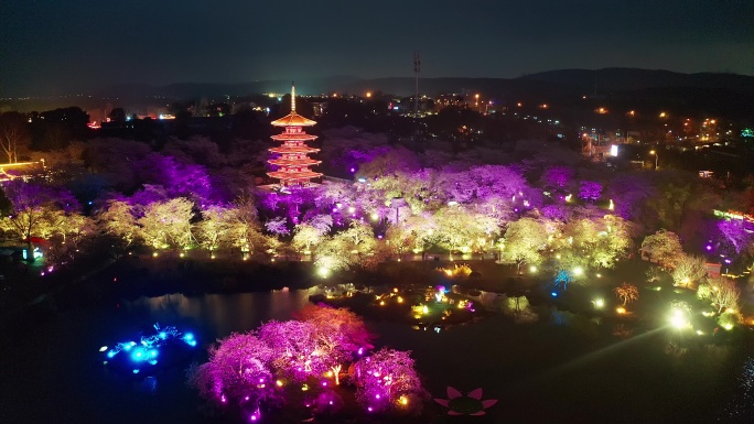 航拍武汉东湖磨山樱花园景区夜景