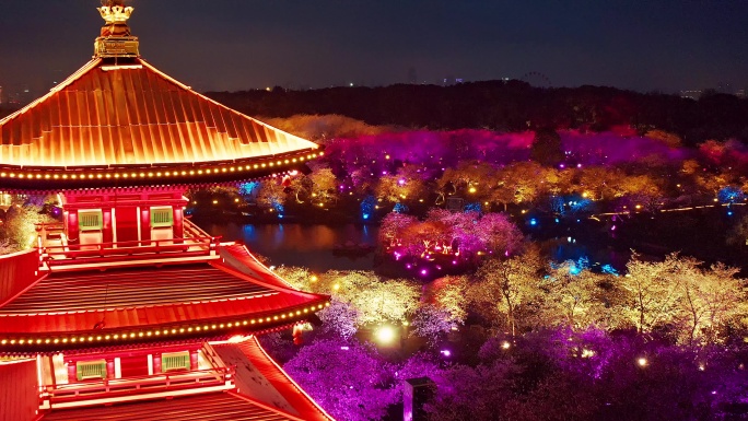 航拍武汉东湖磨山樱花园景区夜景