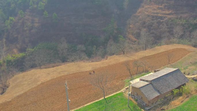 农村农民春天春种微耕机耕地 磨地 播种