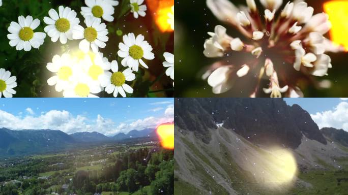 答案伴奏音乐视频背景