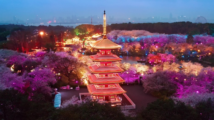 航拍武汉东湖磨山樱花园景区夜景