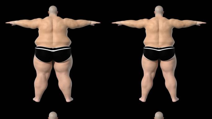 男性瘦身动画背面3D人物减肥带通道