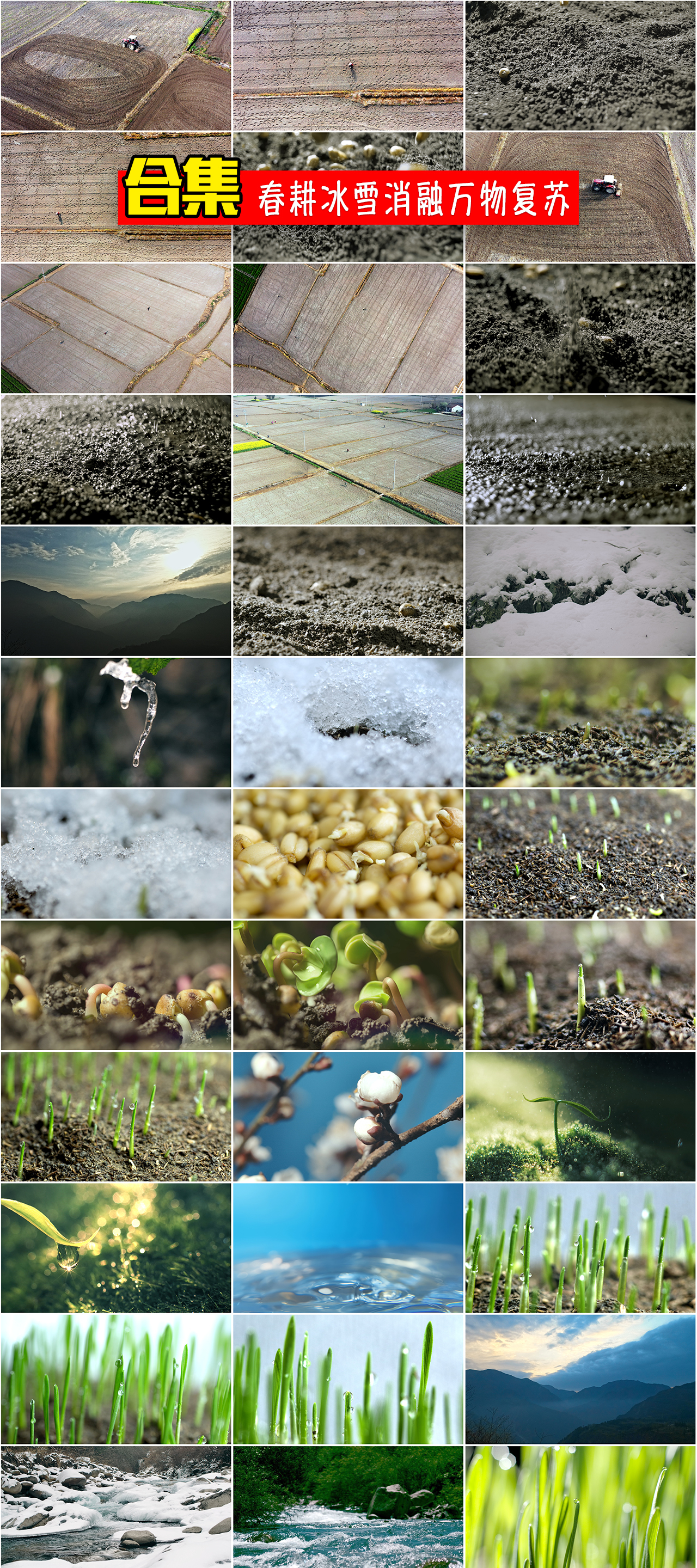 农业春耕冰雪融化植物生长发芽生命