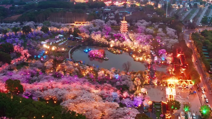 航拍武汉东湖磨山樱花园景区夜景