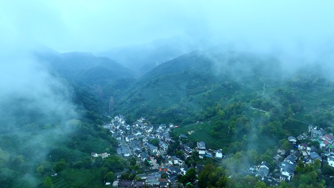 烟雨中的杭州西湖龙井村茶园