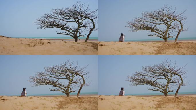 女孩在孤独的树下坐着海边游玩希望旅行