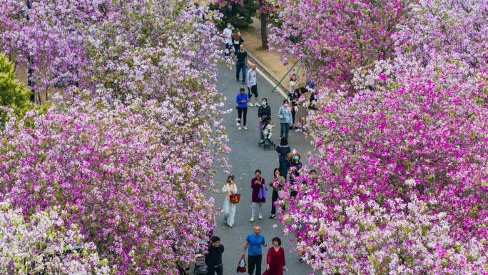 广州海珠国家湿地公园