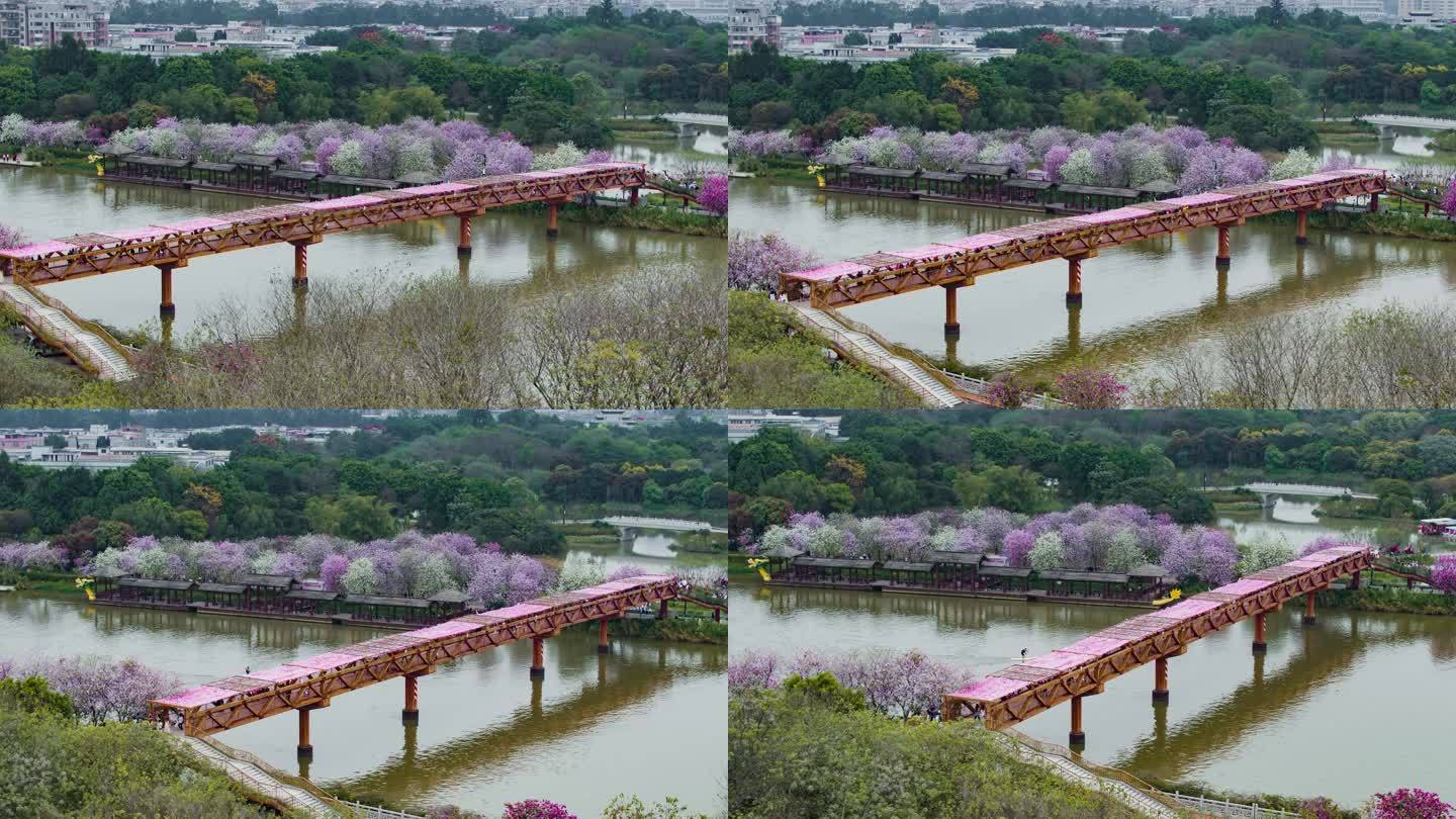 广州海珠国家湿地公园