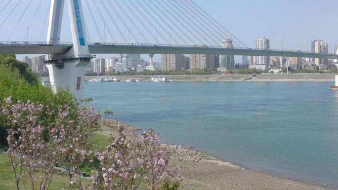 宜昌-夷陵长江大桥（航拍）