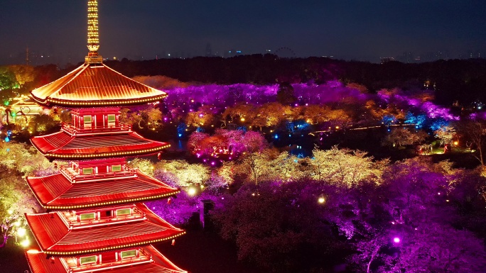 航拍武汉东湖磨山樱花园景区夜景