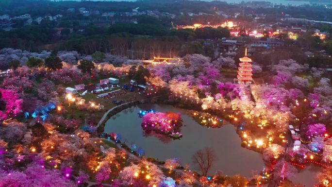 航拍武汉东湖磨山樱花园景区夜景