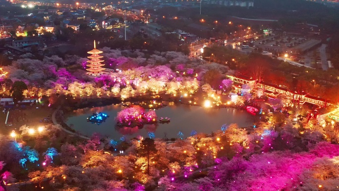 航拍武汉东湖磨山樱花园景区夜景