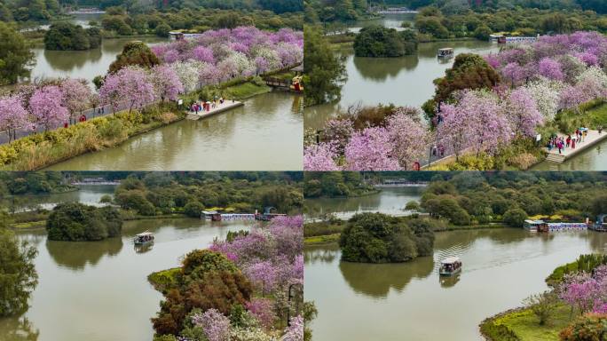 广州海珠国家湿地公园