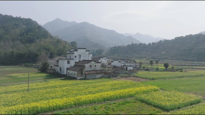 安徽皖南山村板桥呈村油菜花风光旅游航拍