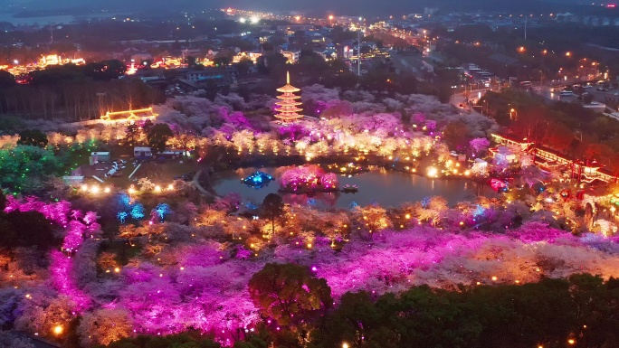 航拍武汉东湖磨山樱花园景区夜景