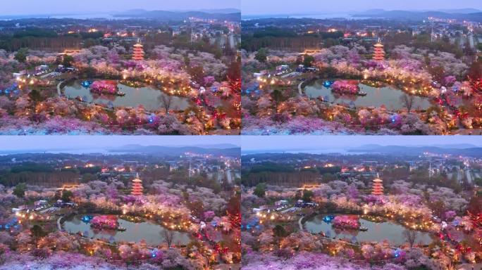 航拍武汉东湖磨山樱花园景区夜景