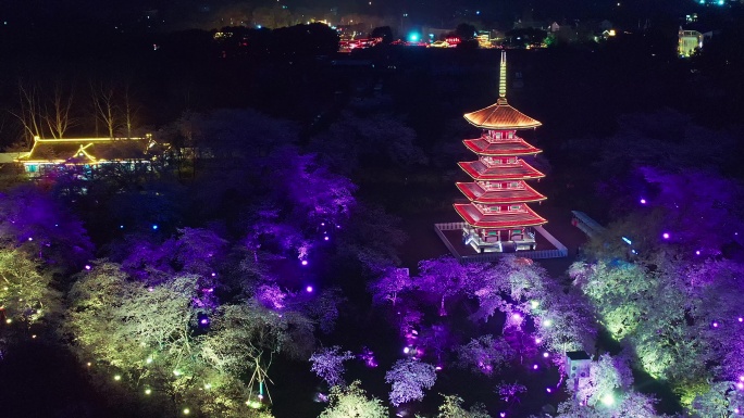 航拍武汉东湖磨山樱花园景区夜景