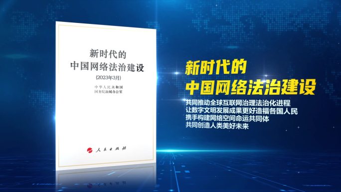 AE0132中国网络法治建设白皮书