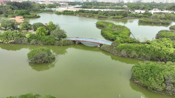 深圳海上田园航拍