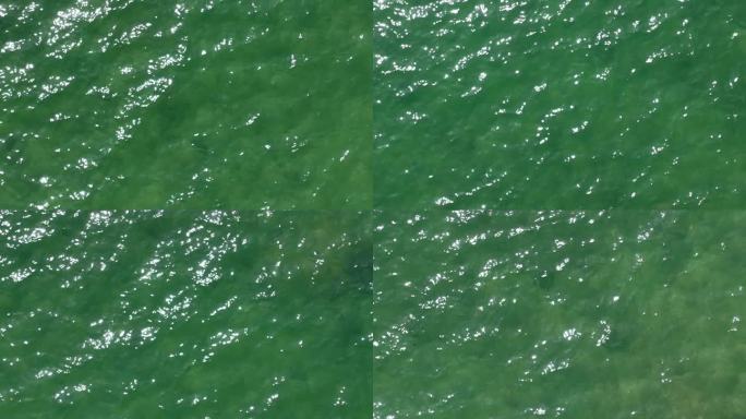 深绿色海水 波光粼粼