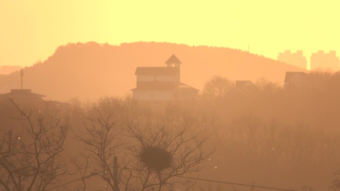 朝霞，黄昏，农村，炊烟袅袅，老树树枝