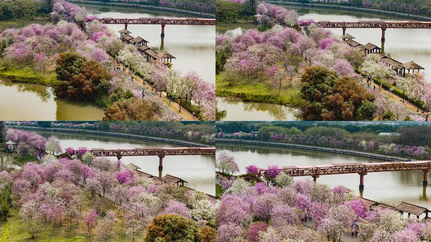 广州海珠国家湿地公园