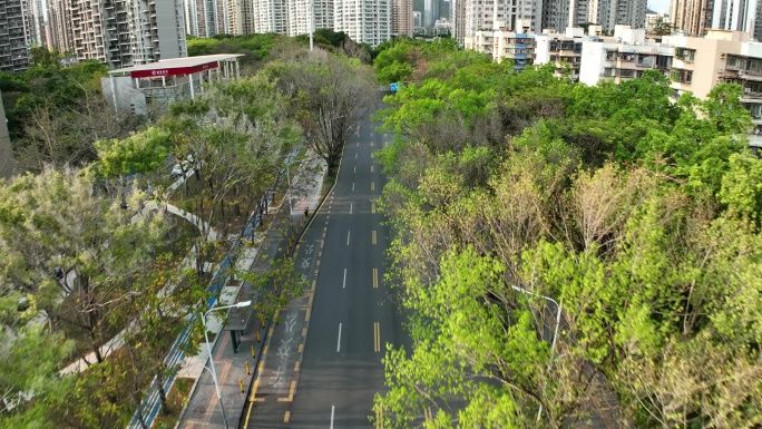【正版原创】城市道路春天绿植绿化