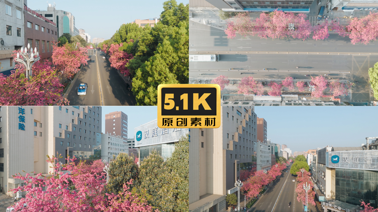 5K-昆明圆通街樱花绽放，樱花街道