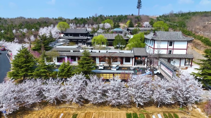 邹平樱花山风景区4k航拍