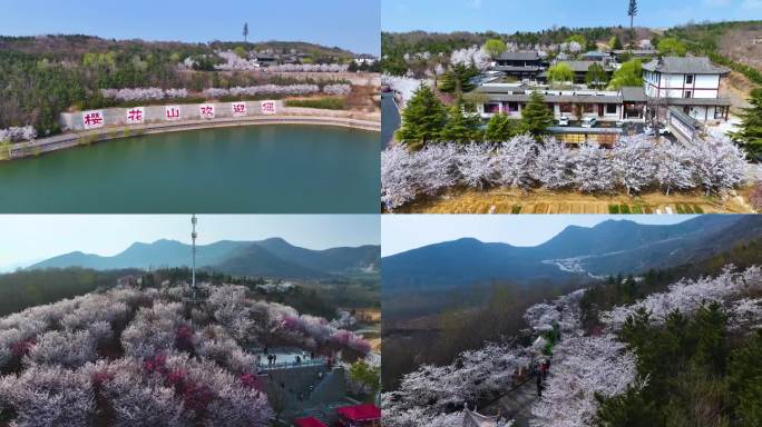 邹平樱花山风景区4k航拍