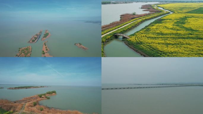 高邮湖 高邮湖大桥 湖上花海4K