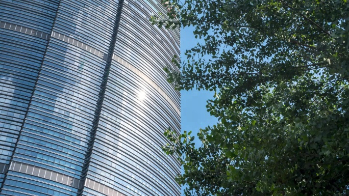 4K超清沈阳现代高楼与绿树生态商务