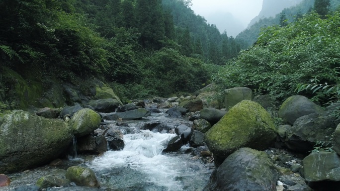 航拍峨眉山后山大山深处清澈溪流自然风景