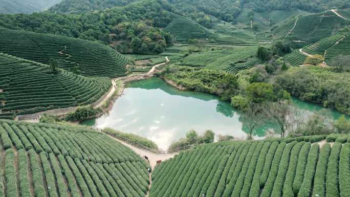 杭州龙坞茶园 光明寺水库